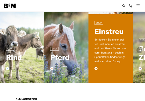 Startseite der B+M Webseite