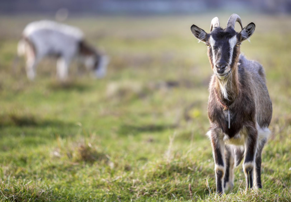 Bildwelt der Website von B+M