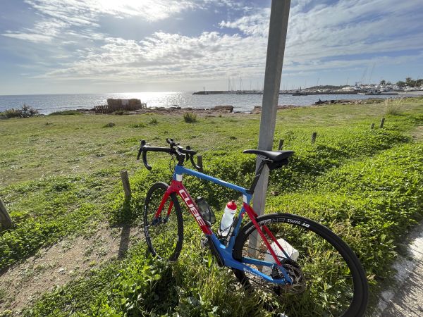 Ein Fahrrad, angelehnt an einer Strassenlaterne auf einer Wiese